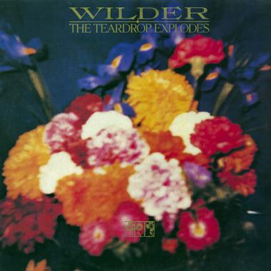 The Teardrop Explodes -  Wilder